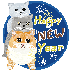 family cat:happy new year
