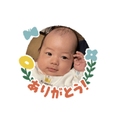 sakura_20231129130906