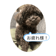 Kana_20231129133212