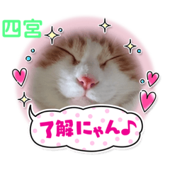 hiroohshima_20231129134528