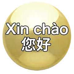 Chinese Vietnamese Common conversations8