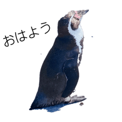 ペンギンスタンプB