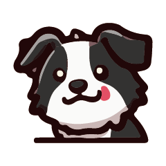 Cute Border Collie - one