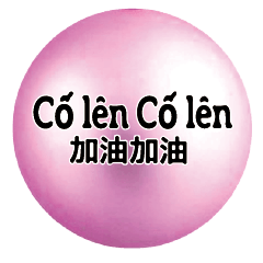 Chinese Vietnamese Common conversation10