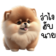 PomPom Cute Dog Tuateung