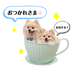 honeymaru_20231128204729