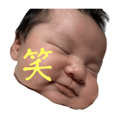 kana_20231129000809