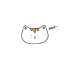 หาบ้านให้น้องแมว