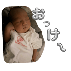 nob_20231129173603