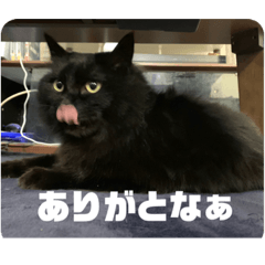 Kuromi murata