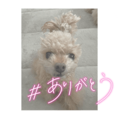 sy_20231129182730