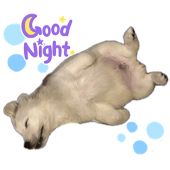 yuka_20231129194232