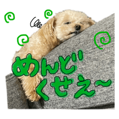 kana_20231129222259