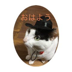 nya nya nya_20231130105427