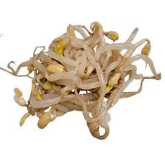 Food Series : Some Mung Bean Sprout #2