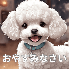 White toypoodle dogs stickers