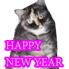 Happy new year 2566 Prem