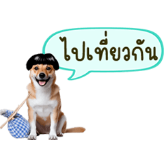 R Hum Thai Dog Balloon Chat