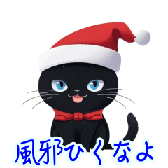 A cute cat wearing a Santa's hat!