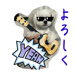 SAKURA_20231130171628