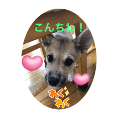 moo_20231130180058