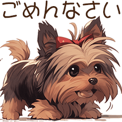 Yorkshire Terrier(Japanese)