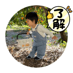 to-ban_20231201011357