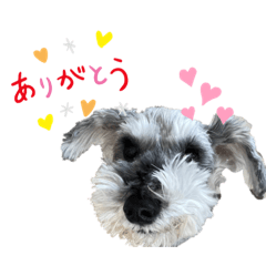 kero_20231201134337