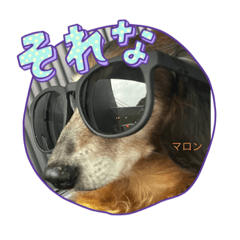 nanamin_20231130230525
