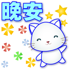 Cute white cat-practical phrases