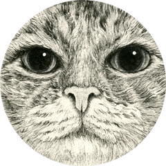 圧をかける猫たち - 山田猫 vol.15