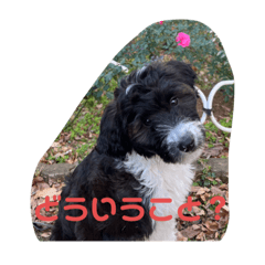 Natsuki_20231201201124