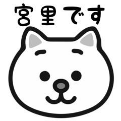 Miyazato cat stickers