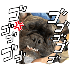 MAYA_20231202001806