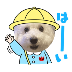 miromiro_20231202005052