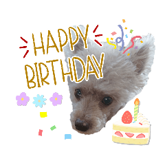 レンのお祝いスタンプ