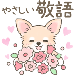 Cute Chihuahua message Sticker keigo
