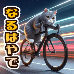 Cat ride a road bike2