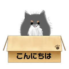 ganozo_20231202001429