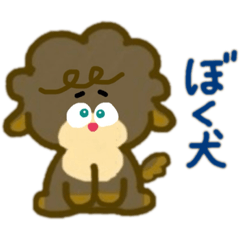 kana_20231201205912