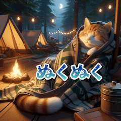 Cat camper