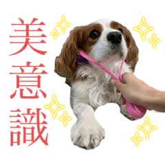 takuya_20231202161758