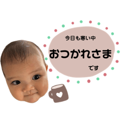 sakura_20231202161918