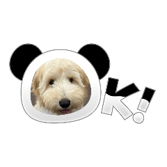 ah-ya_20231202162147