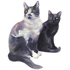 Black cat & tuxedo cat painting set