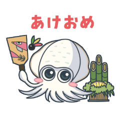 Bigfin and Egging squid 3