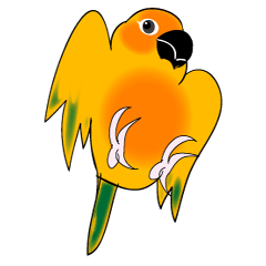 Cute  orange bird often use message