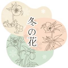 kurumi flower
