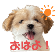 ymnk.kotaro_20231202215500