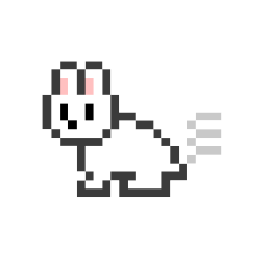 rabbit_20231202170705